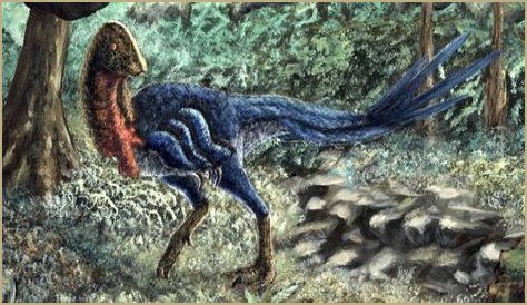 Unveiling The World's Dimmest: Discoveries In Animal Intelligence